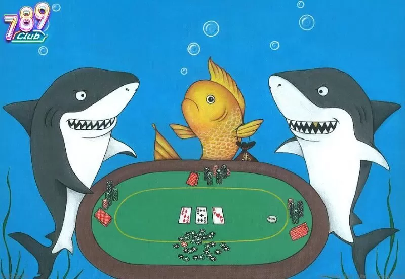 Giải mã thuật ngữ "Fish" trong Poker